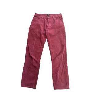 BDG Urban Outfitters Corduroy Pants Size 30 x 32 Dad Fit Burgundy